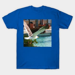 Taking flight T-Shirt